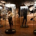 La sala dedicata all’evoluzione umana